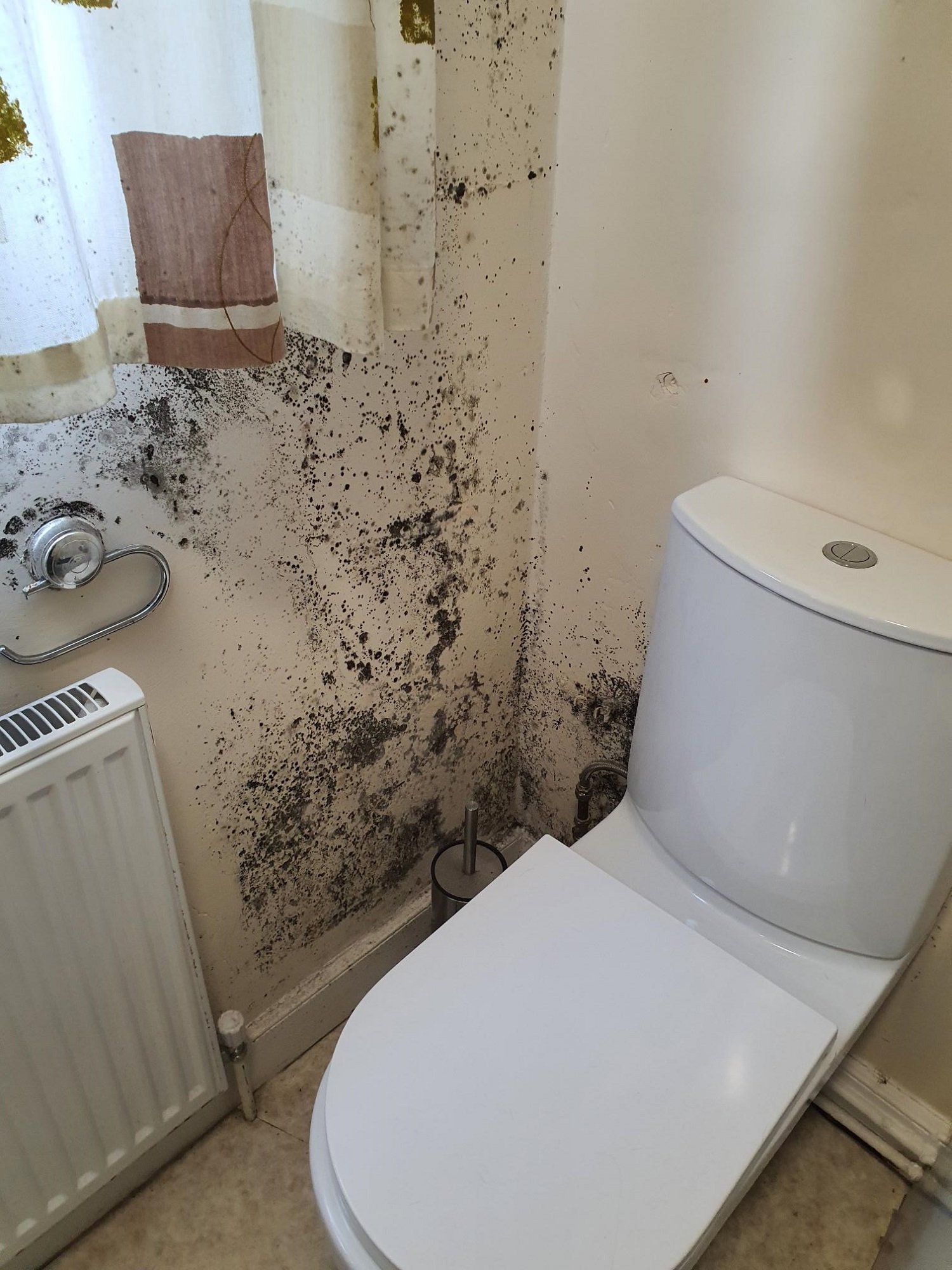 mould issue 1